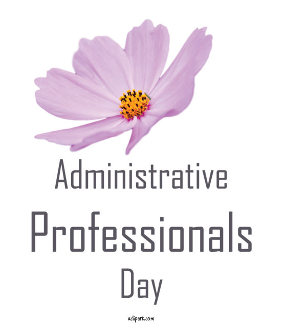 Free Holidays Cut Flowers Daisy Family Flower For Admin Day Clipart Transparent Background