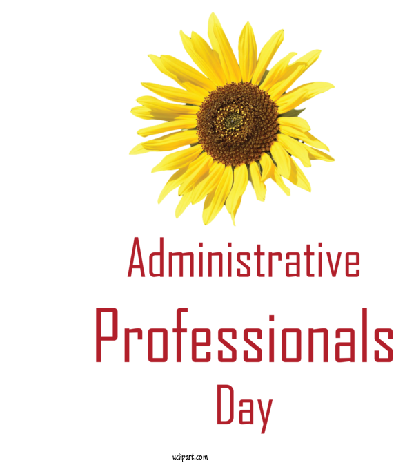 Free Holidays Cut Flowers Daisy Family Sunflower Seeds For Admin Day Clipart Transparent Background