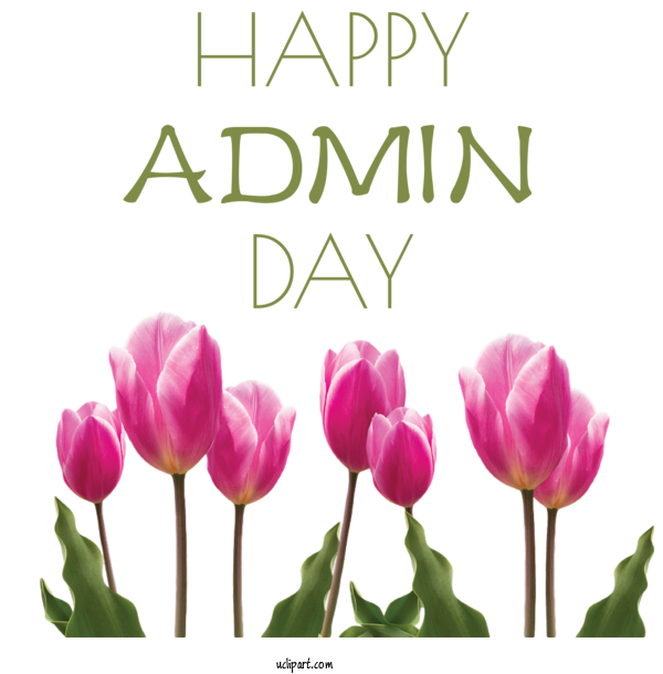 Free Holidays Tulip Flower Plant For Admin Day Clipart Transparent Background