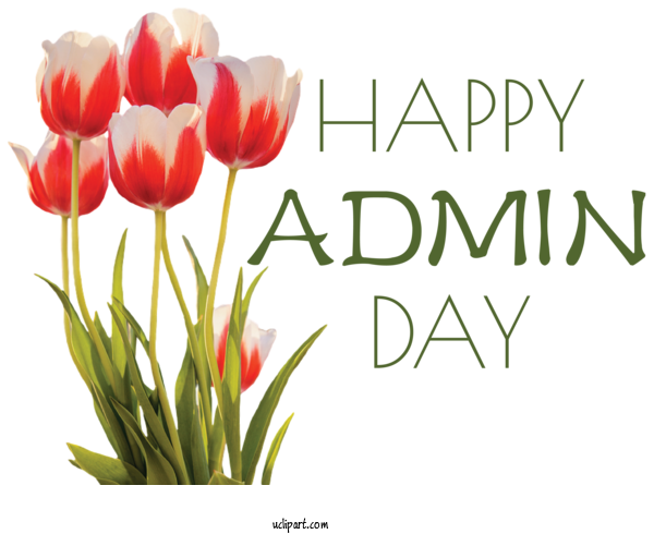 Free Holidays Towel Tulip Flower For Admin Day Clipart Transparent Background
