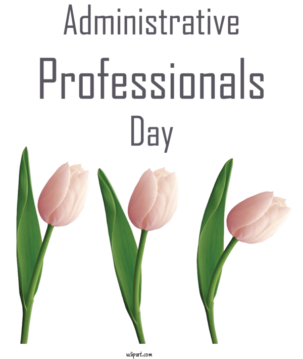 Free Holidays Plant Stem Cut Flowers Long Buckby For Admin Day Clipart Transparent Background