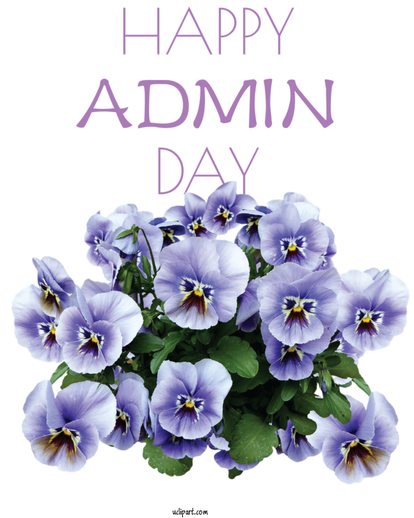 Free Holidays Pansy Flower Ornamental Plant For Admin Day Clipart Transparent Background