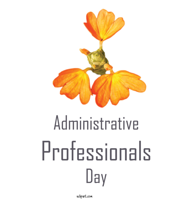 Free Holidays Insects Flower Pollinator For Admin Day Clipart Transparent Background