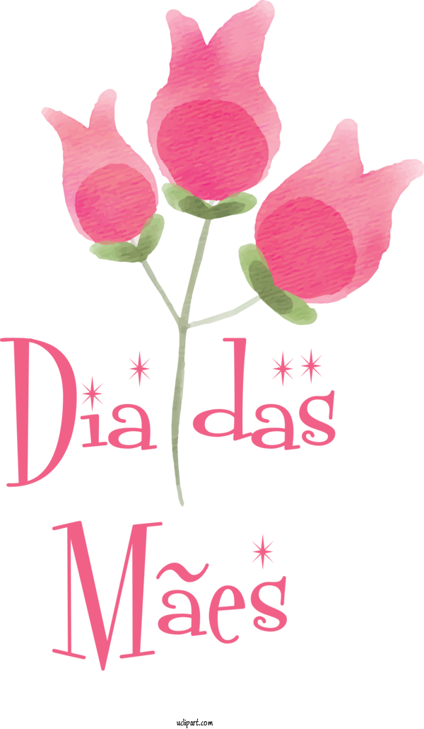 Free Holidays Floral Design Plant Stem Cut Flowers For Dia Das Maes Clipart Transparent Background