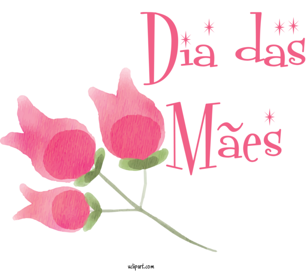 Free Holidays Plant Stem Cut Flowers Rose Family For Dia Das Maes Clipart Transparent Background