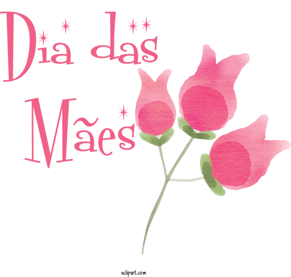 Free Holidays Cut Flowers Plant Stem Rose Family For Dia Das Maes Clipart Transparent Background
