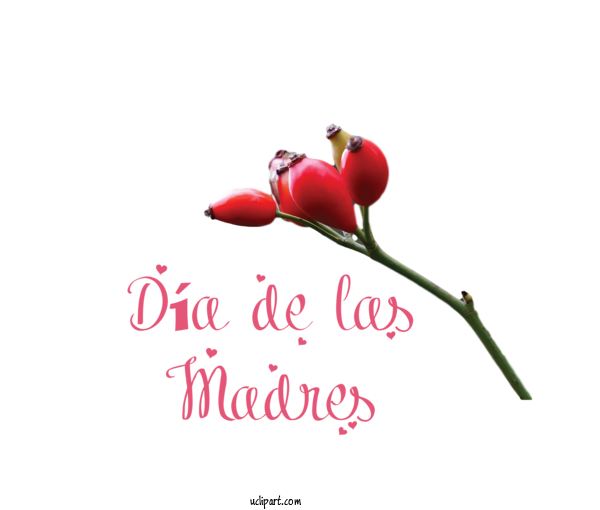 Free Holidays Plant Stem Cut Flowers Garden Roses For Dia De Las Madres Clipart Transparent Background