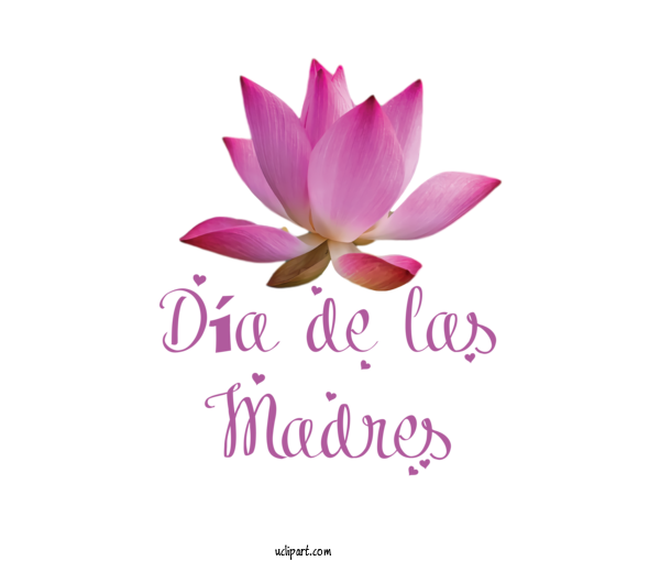 Free Holidays Flower Petal Meter For Dia De Las Madres Clipart Transparent Background