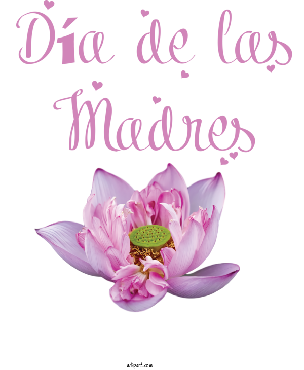 Free Holidays Floral Design Cut Flowers Flower For Dia De Las Madres Clipart Transparent Background