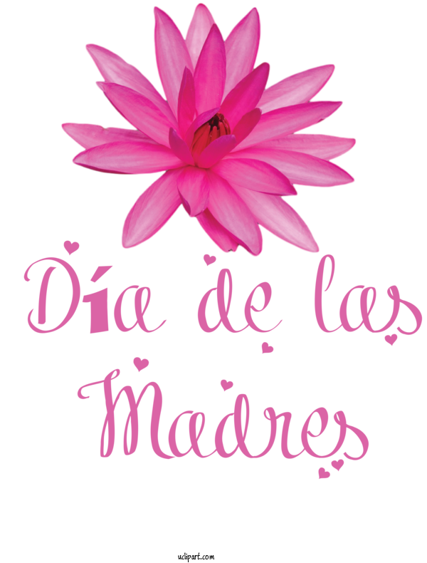 Free Holidays Cut Flowers Floral Design Flower For Dia De Las Madres Clipart Transparent Background