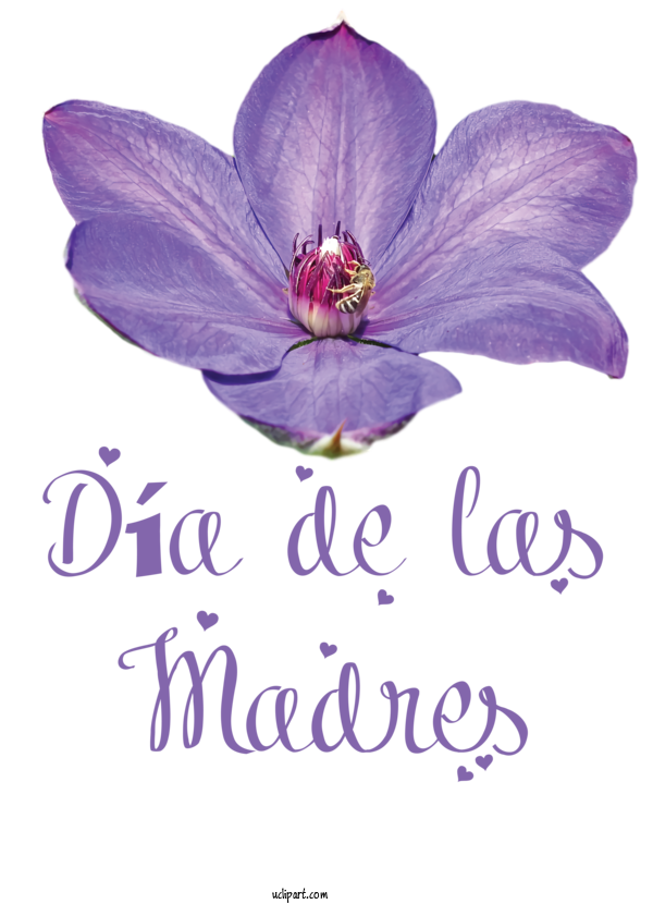 Free Holidays Flower Herbaceous Plant Petal For Dia De Las Madres Clipart Transparent Background