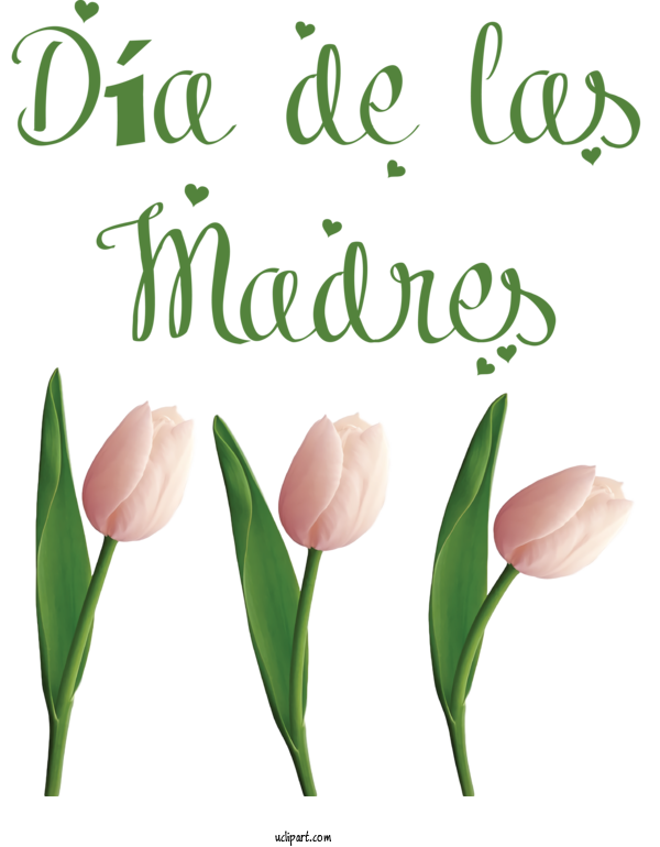 Free Holidays Plant Stem Floral Design Tulip For Dia De Las Madres Clipart Transparent Background