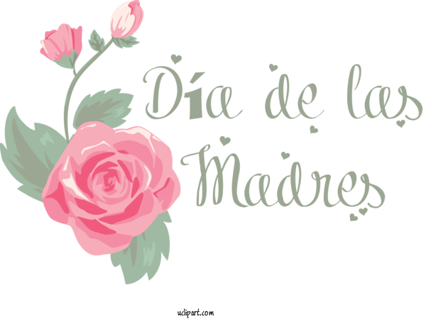 Free Holidays Floral Design Garden Roses Cut Flowers For Dia De Las Madres Clipart Transparent Background