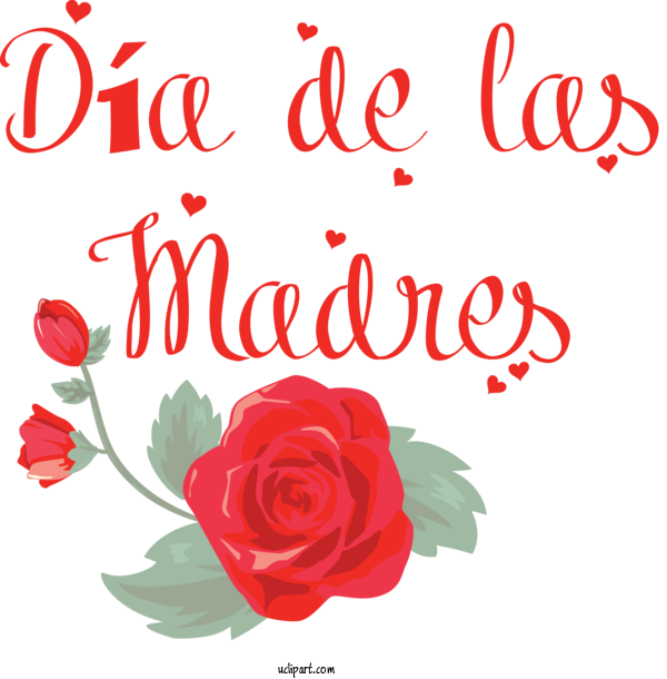 Free Holidays Floral Design Garden Roses Rose For Dia De Las Madres Clipart Transparent Background