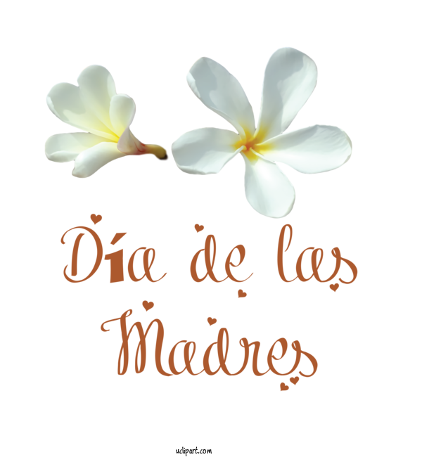 Free Holidays Cut Flowers Flower Petal For Dia De Las Madres Clipart Transparent Background