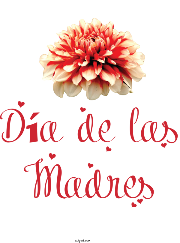 Free Holidays Floral Design Cut Flowers Chrysanthemum For Dia De Las Madres Clipart Transparent Background