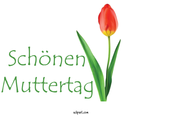 Free Holidays Plant Stem Cut Flowers Tulip For Muttertag Clipart Transparent Background