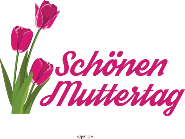 Free Holidays Floral Design Plant Stem Tulip For Muttertag Clipart Transparent Background