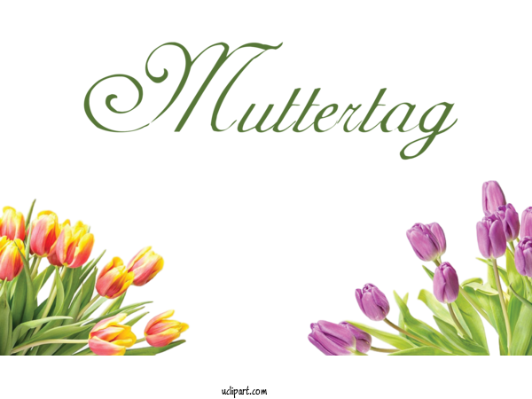 Free Holidays Mother's Day Friendship Text For Muttertag Clipart Transparent Background