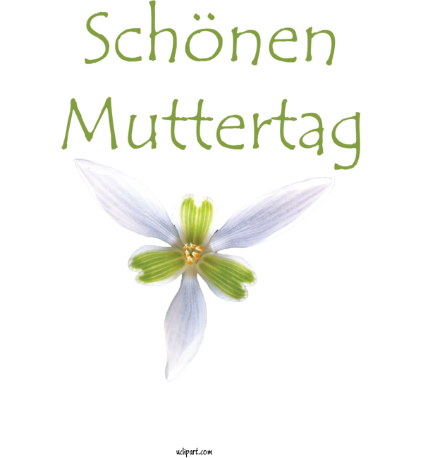 Free Holidays Plant Stem Flower Petal For Muttertag Clipart Transparent Background
