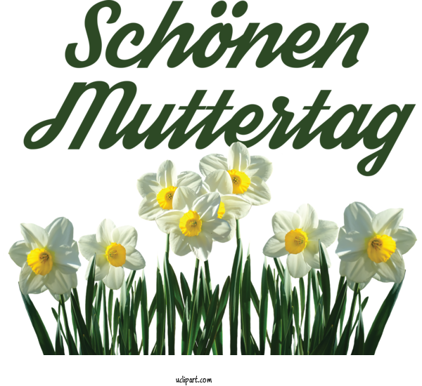 Free Holidays Daffodil Floristry Cut Flowers For Muttertag Clipart Transparent Background