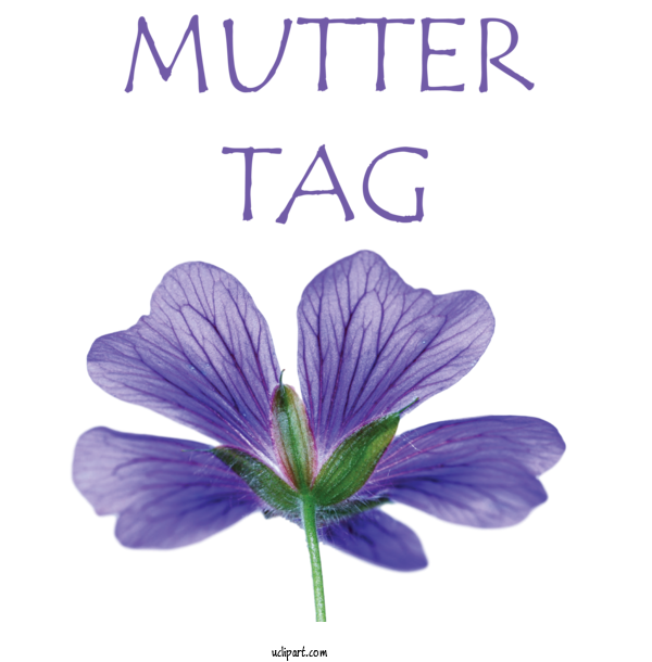 Free Holidays Crane's Bill Design Flower For Muttertag Clipart Transparent Background