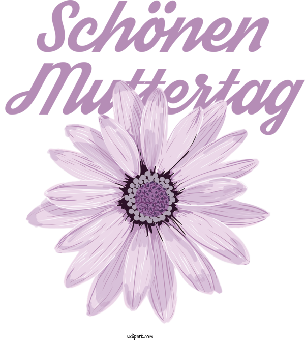 Free Holidays Chrysanthemum Herbaceous Plant Cut Flowers For Muttertag Clipart Transparent Background
