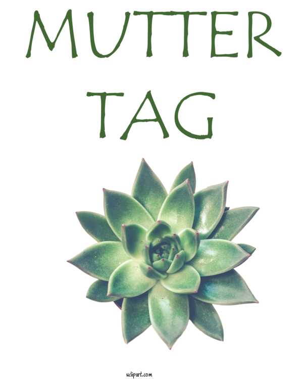 Free Holidays Flower Stickers Flower Sticker For Muttertag Clipart Transparent Background