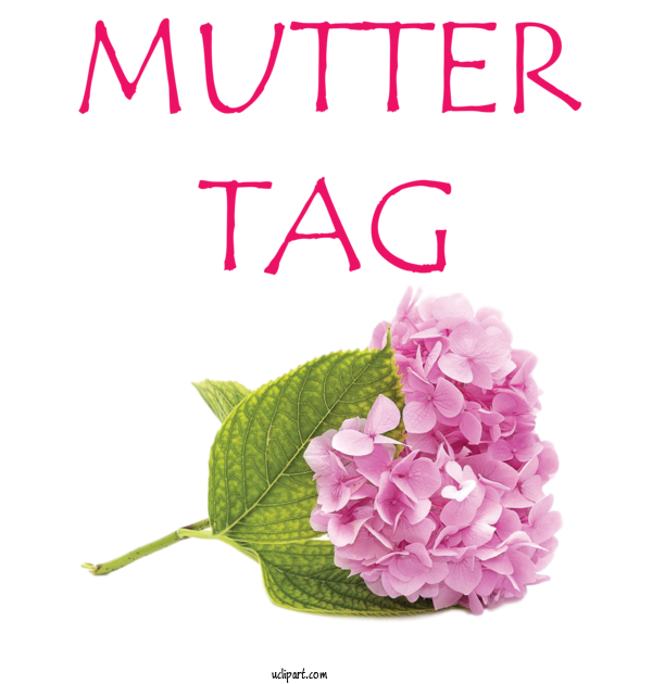 Free Holidays Flower For Muttertag Clipart Transparent Background