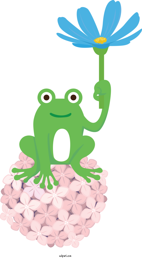 Free Animals Tree Frog Frogs Cartoon For Frog Clipart Transparent Background