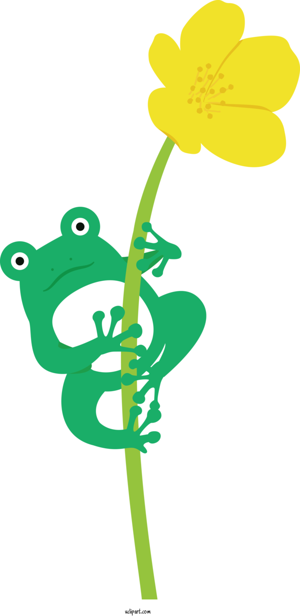 Free Animals Flower Plant Stem Petal For Frog Clipart Transparent Background