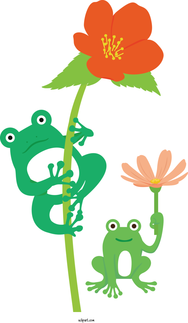 Free Animals Flower Frogs Plant Stem For Frog Clipart Transparent Background