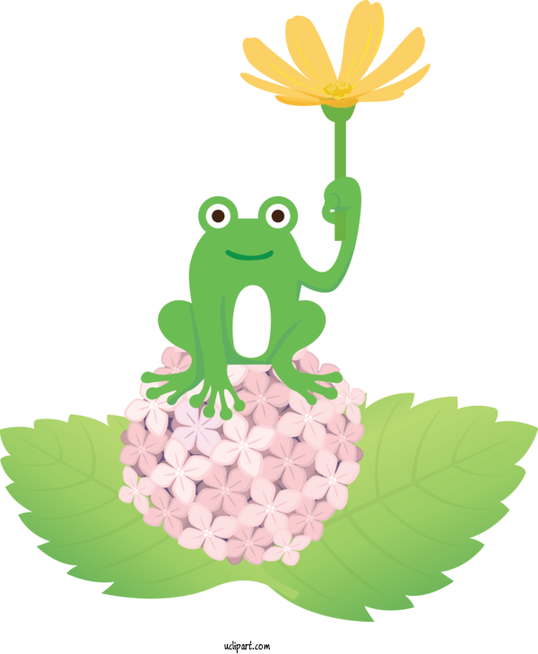 Free Animals Tree Frog Cartoon Leaf For Frog Clipart Transparent Background