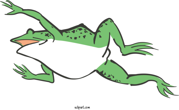 Free Animals True Frog Line Art Toad For Frog Clipart Transparent Background