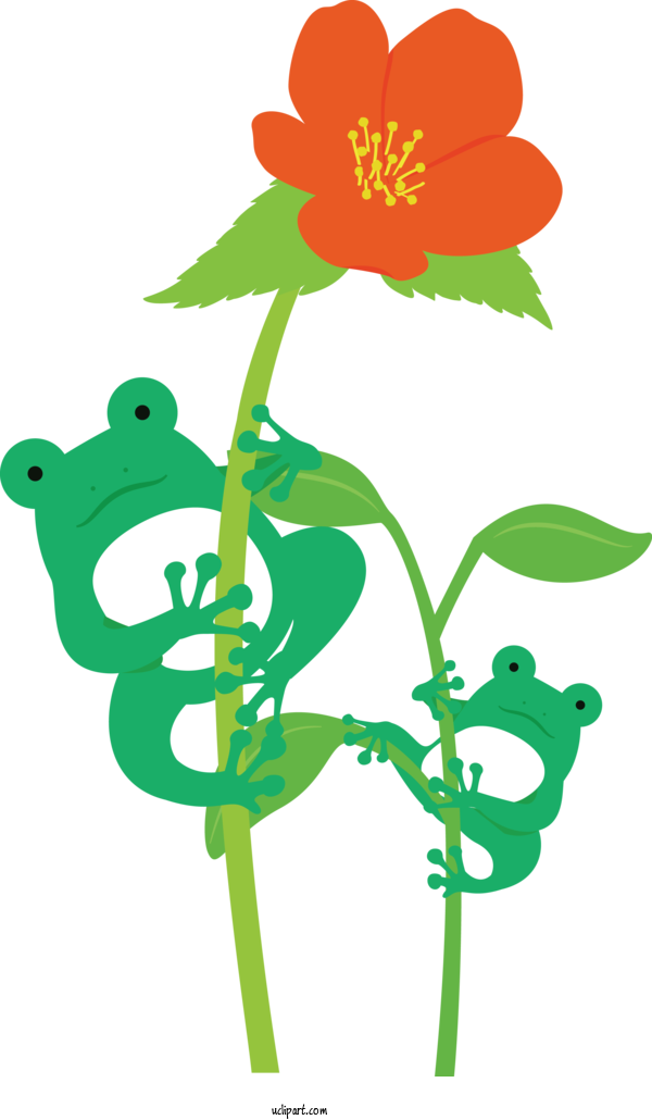 Free Animals Floral Design Plant Stem Leaf For Frog Clipart Transparent Background