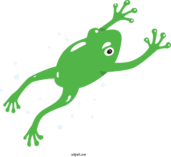 Free Animals True Frog Frogs Toad For Frog Clipart Transparent Background