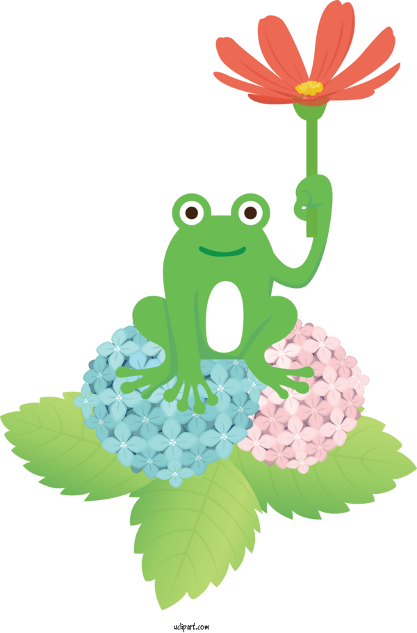Free Animals Leaf Frogs Cartoon For Frog Clipart Transparent Background
