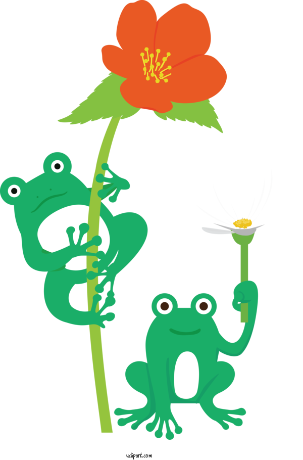 Free Animals Frogs Tree Frog Plant Stem For Frog Clipart Transparent Background