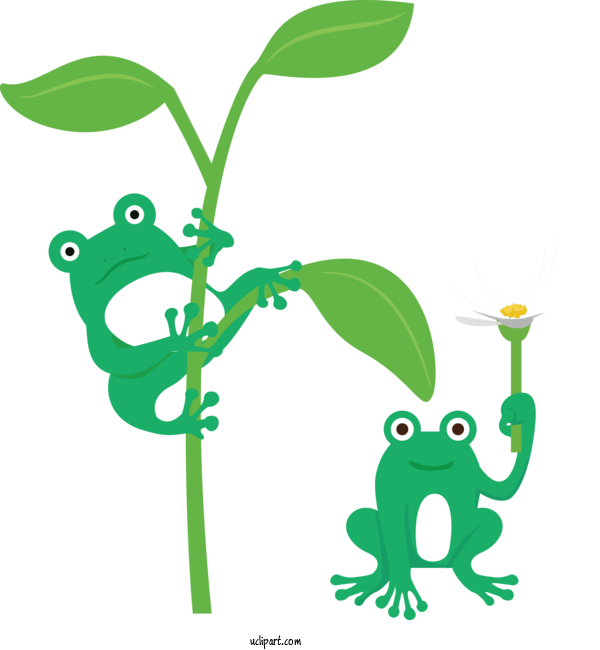 Free Animals Frogs Leaf Tree Frog For Frog Clipart Transparent Background