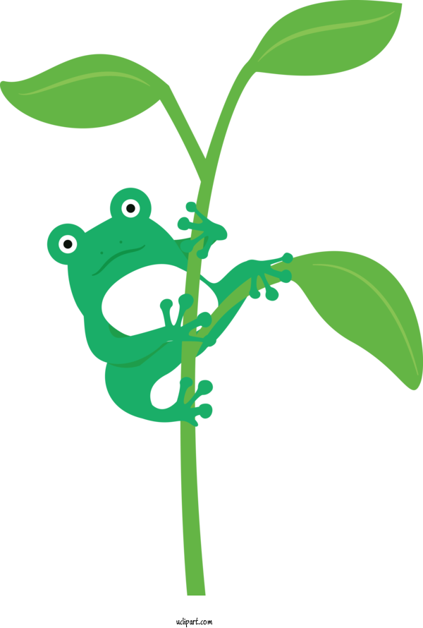 Free Animals Leaf Plant Stem Tree Frog For Frog Clipart Transparent Background