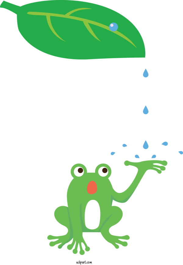 Free Animals Tree Frog Frogs Toad For Frog Clipart Transparent Background