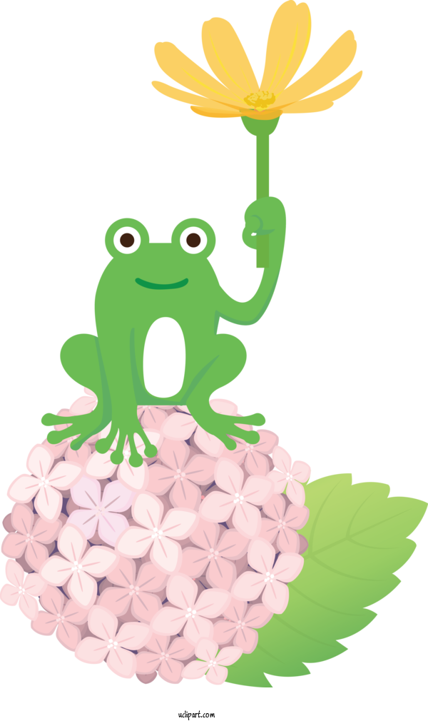 Free Animals Frogs Flower Tree Frog For Frog Clipart Transparent Background