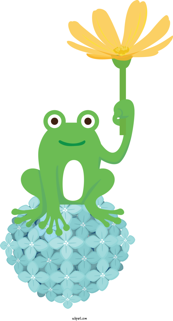 Free Animals Frogs Leaf Tree Frog For Frog Clipart Transparent Background