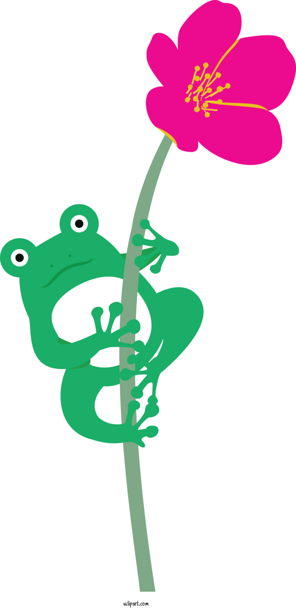 Free Animals Leaf Floral Design Plant Stem For Frog Clipart Transparent Background