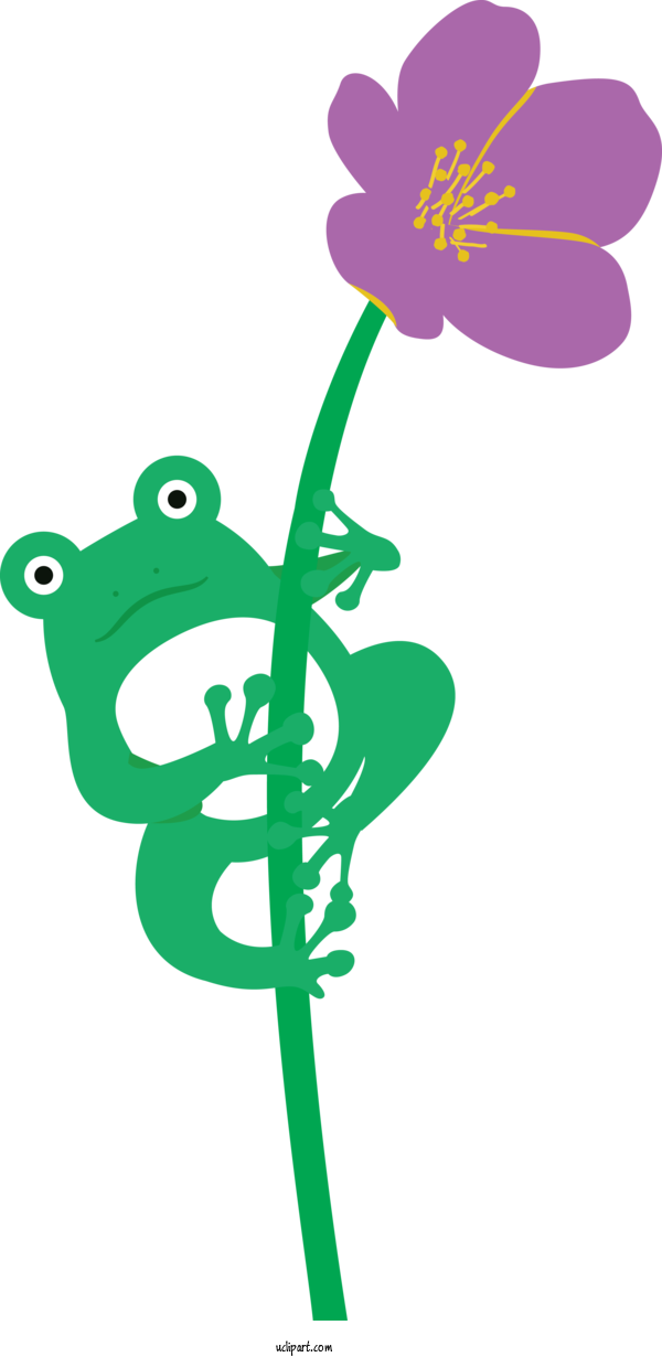Free Animals Leaf Plant Stem Floral Design For Frog Clipart Transparent Background