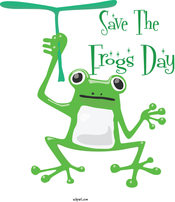Free Animals True Frog Tree Frog Frogs For Frog Clipart Transparent Background