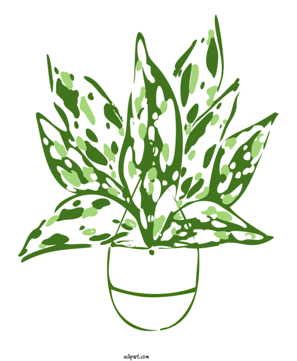 Free Nature Leaf Line Art Plant Stem For Plant Clipart Transparent Background