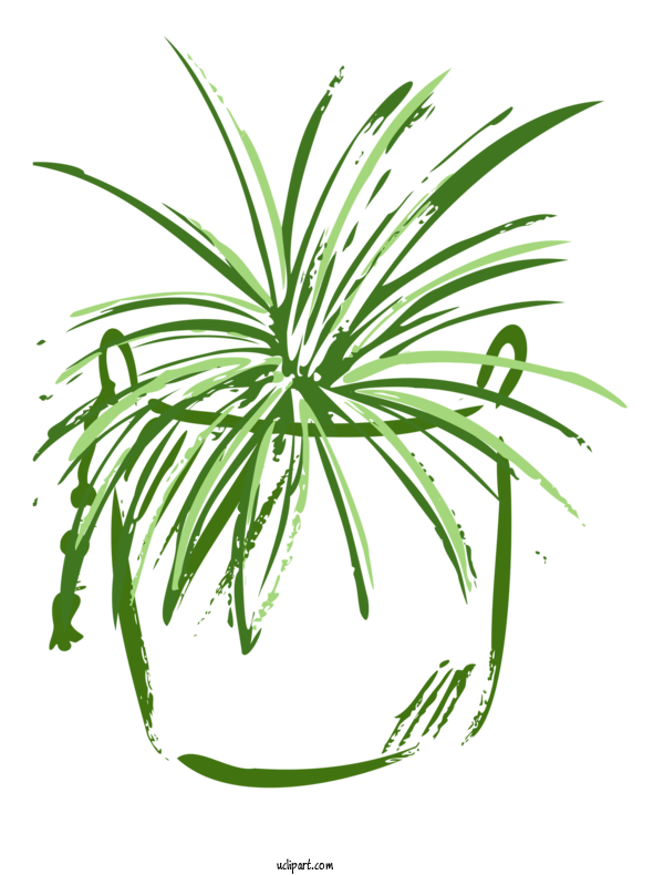 Free Nature Palm Trees Leaf Grasses For Plant Clipart Transparent Background