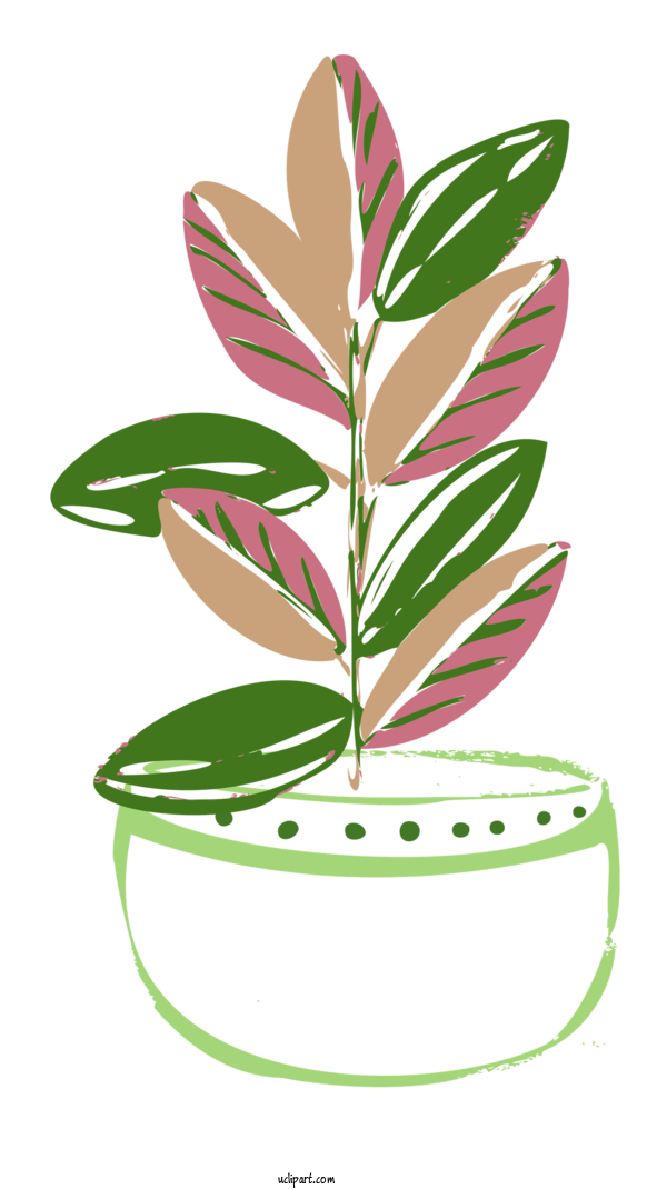 Free Nature Leaf Plant Stem Flower For Plant Clipart Transparent Background