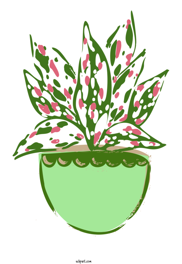 Free Nature Leaf Plant Stem Floral Design For Plant Clipart Transparent Background